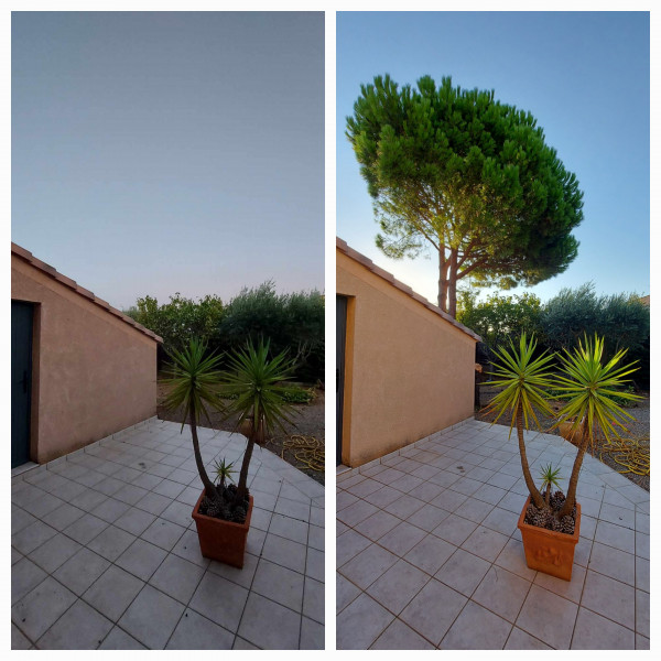 Création jardin Sète	